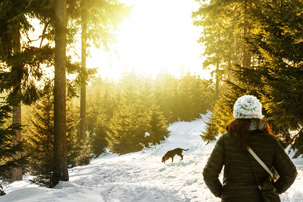 Top tips for winter dog walks in warm wellies